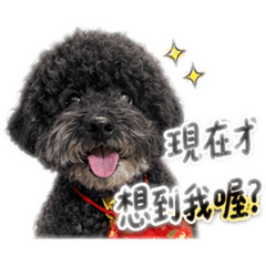 歐歐OREO