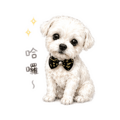 貝勒の療癒日常