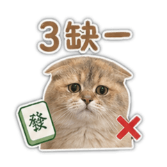 兩千萬日常貼圖