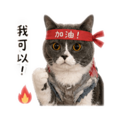 吳點點上班日常