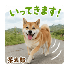 kasai_20260507193740