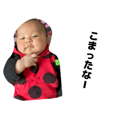 LaLa_20260507193852