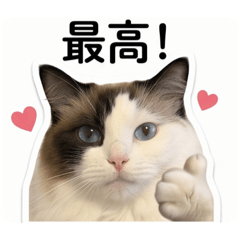 kaori_20260507193239