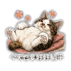 抖仔卡哇伊