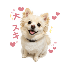 nono_20260507193944