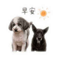 毛ིྀ小ིྀ孩ིྀ日常用語