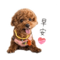 小咩星球3