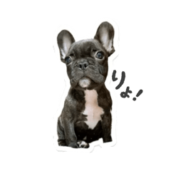 kiki_20260507200413