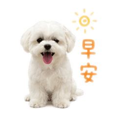 Q比可愛小貼圖
