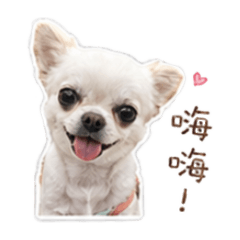 小吉一