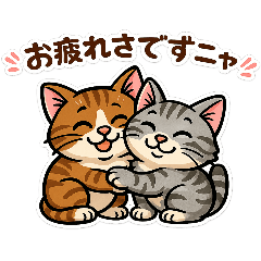 catcat_20260507200139