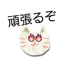 ryu_20260507201059