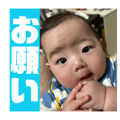 hayafu_20260507201007