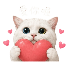 我的樂多(*¯︶¯*)