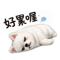 寶子厭世日常