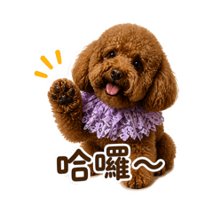 皮醬日常