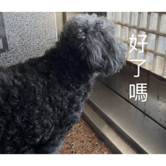 Money最可愛了