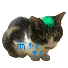Nunuii.._20260507201231