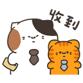 小三花看家中Sanfa cat-小菜貓日常