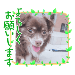 coos_20260507201640