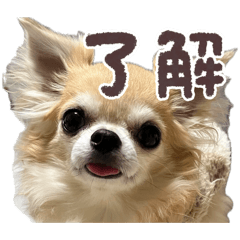 C-chan_20260507201543