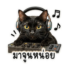 The ultimate black cat.