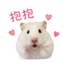 ㄋㄟㄋㄟˇの日常