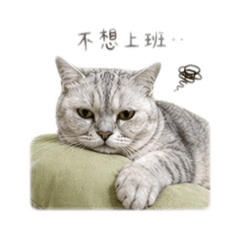 Uni厭世