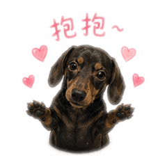 小咖啡臘腸日常用語