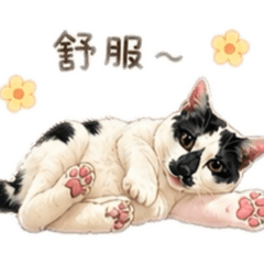 可愛畢畢出沒中