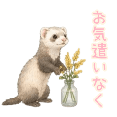 PAKAMOGOLY_20260509202545