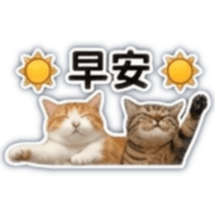 33&JiangJiang (4.1)
