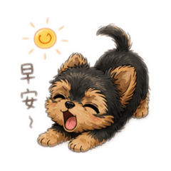小沐の日常用語