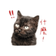 粿粿咪