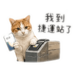 咘咘&叮叮