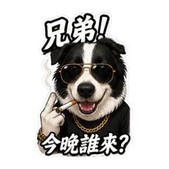 阿屁8+9