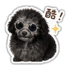 我是灰貴賓小屁屁