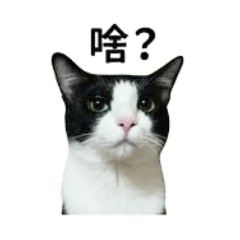 R賓打妹