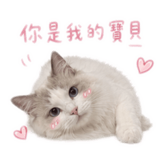 饅頭の愛
