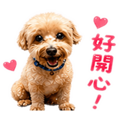 林多莉