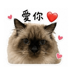 宥ㄟ日常