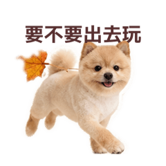 Q比是我 我是Q比