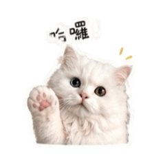 Lala寶