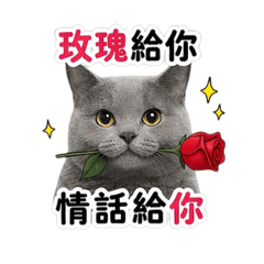 許哆哆-土味情話