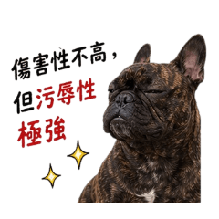 茶寶荳荳 4