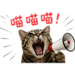 娜娜愛搞怪