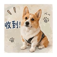 努努問候語