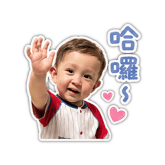 Teddy Bear HR