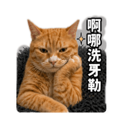 麥克嘴臉