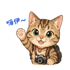 咪咪の日常生活樂趣